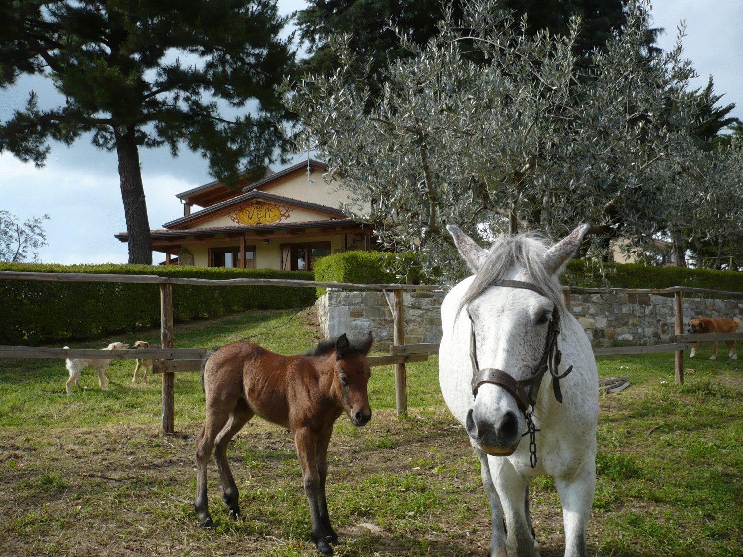 Agriturismo Villa Vea Bellosguardo Dış mekan fotoğraf