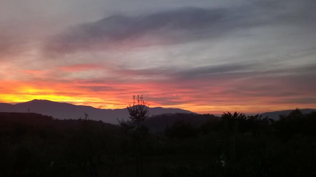 Agriturismo Villa Vea Bellosguardo Dış mekan fotoğraf
