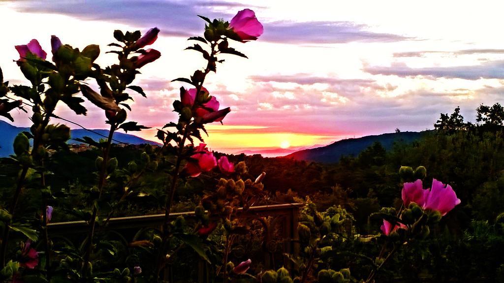 Agriturismo Villa Vea Bellosguardo Dış mekan fotoğraf